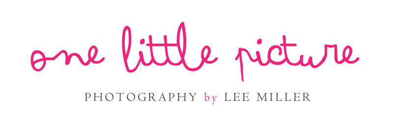 One Little Picture Photography