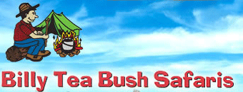 Billy Tea Tours logo