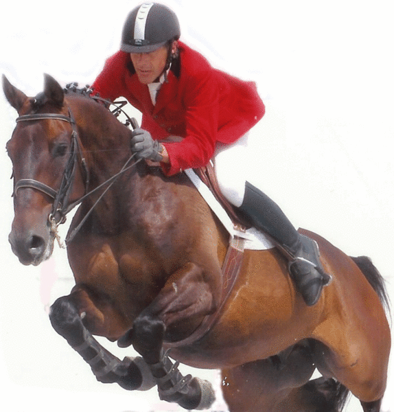 Sagamore Horses Training & Agistment Centre