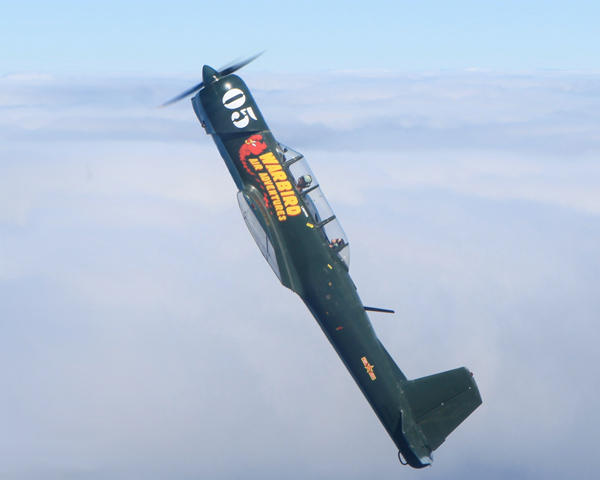Flying War Birds
