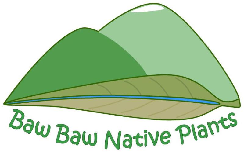 Baw Baw Native Plants