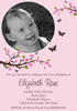 Tweet Designs Party Boutique