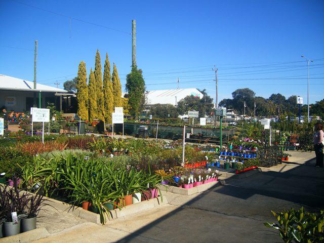 Lena Nursery