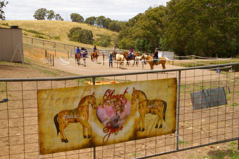 Holistic Equitation: Merton