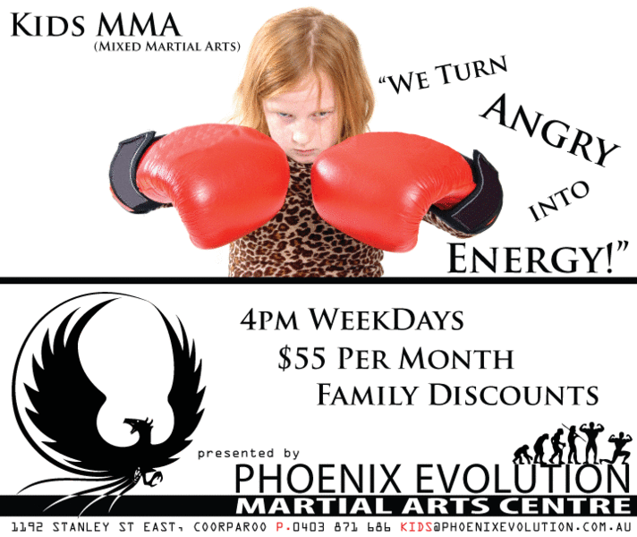 Phoenix Evolution Martial Arts Centre