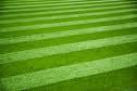 Mks Mowing & Trimming