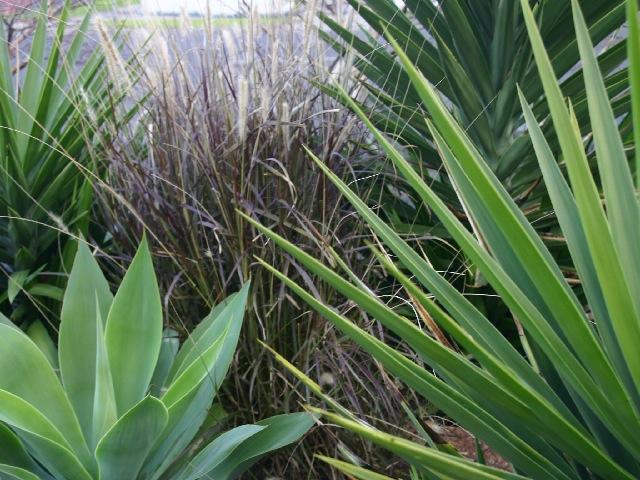 Inner City Commercial Gardens