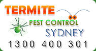 EcoGuard Termite and Pest Management