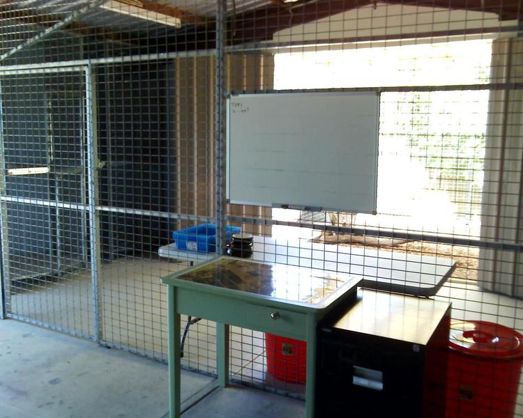 Meow Inne Boarding Cattery