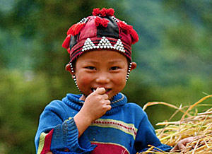 Vietnam Online