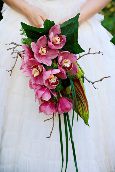 Blushing Blooms
