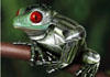 Frog Prince Photo Restoration