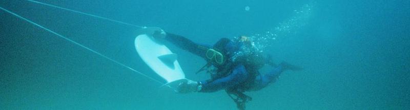 Manta Board Underwater Dive Sled