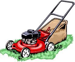 Amazon Lawn and Garden Care