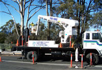 Sapphire Coast Tree Services & Tower Hire