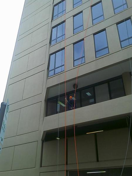 Wise Window Cleaning