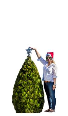 Real Christmas Trees Melbourne
