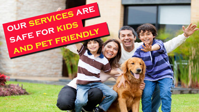 Rat Pest Control Brisbane