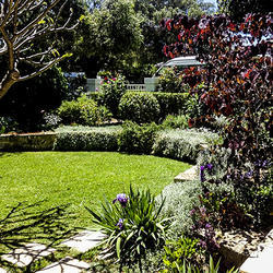 Landscapes for Life: Martin