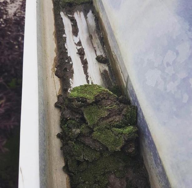 A1 Gutter Services