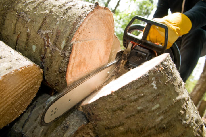 Northern Tree Service