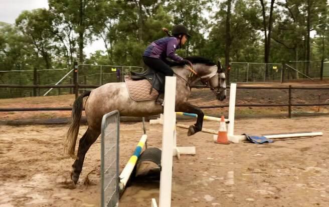 Tic Toc Equestrian