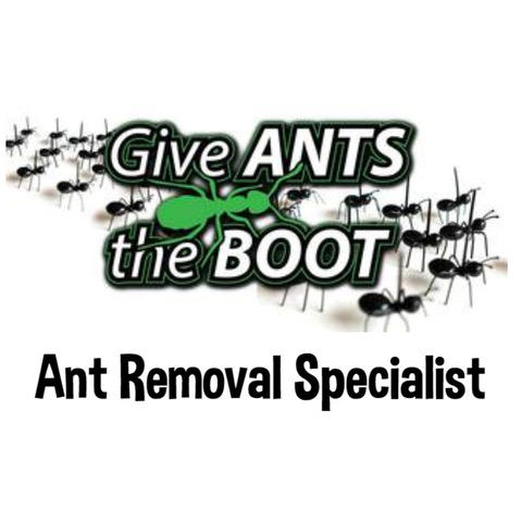 Give Ants The Boot Pest Control