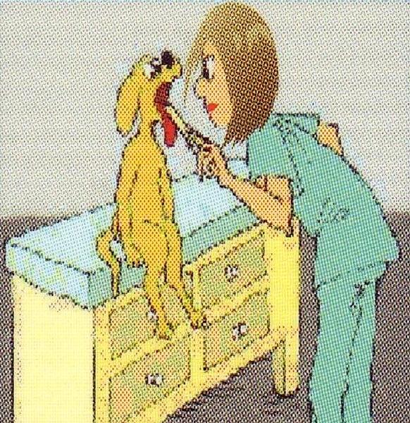 Mona Vale Veterinary Hospital