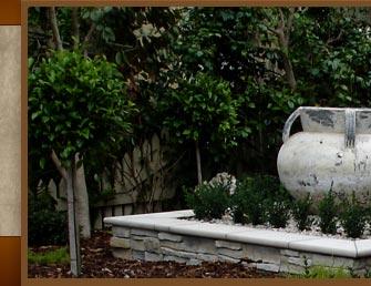 DC Garden Restoration