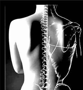 Mullumbimby Chiropractic Centre