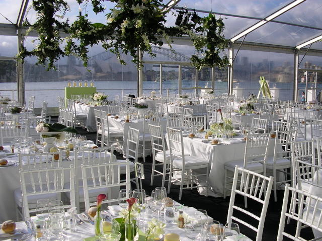 The Dandelion Project Pty Ltd