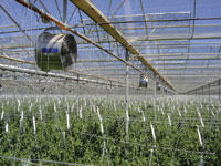 Powerplants Australia Pty Ltd