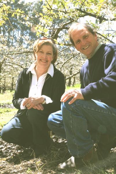 Stella Creek Cherry Orchard