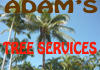 Adam's Tree Services logo