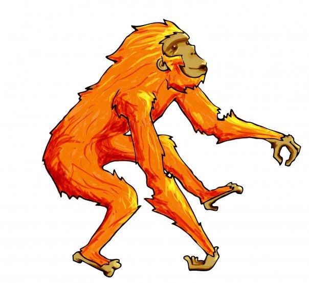 Wise Monkey Computers