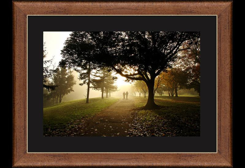 Tempestlight Photography