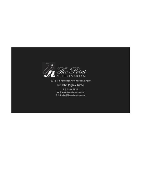 The Point Veterinarian