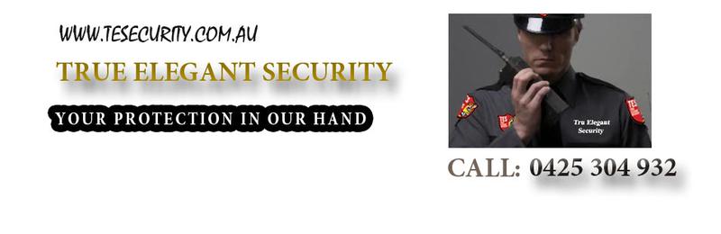 True Elegant Security
