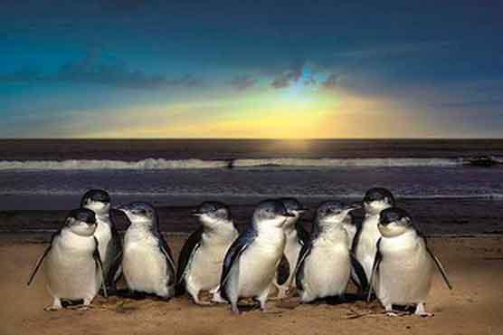 Sydney Exclusive Tours