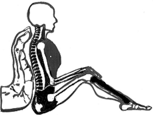 Raymond Terrace Osteopathic Clinic