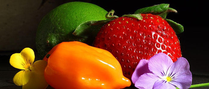 Dynamique Catering