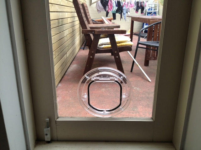 The Dog Door Man
