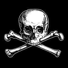 Pirate Projects