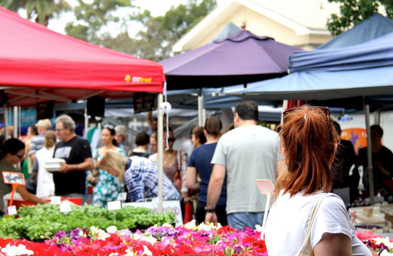 Organic Food Markets: Orange Grove