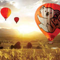 Hot Air Balloon: Brisbane