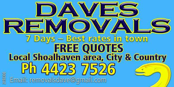 Daves Removals