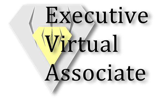 Executive Virtual Associate