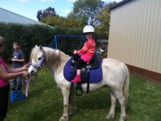 My Little Party Pony