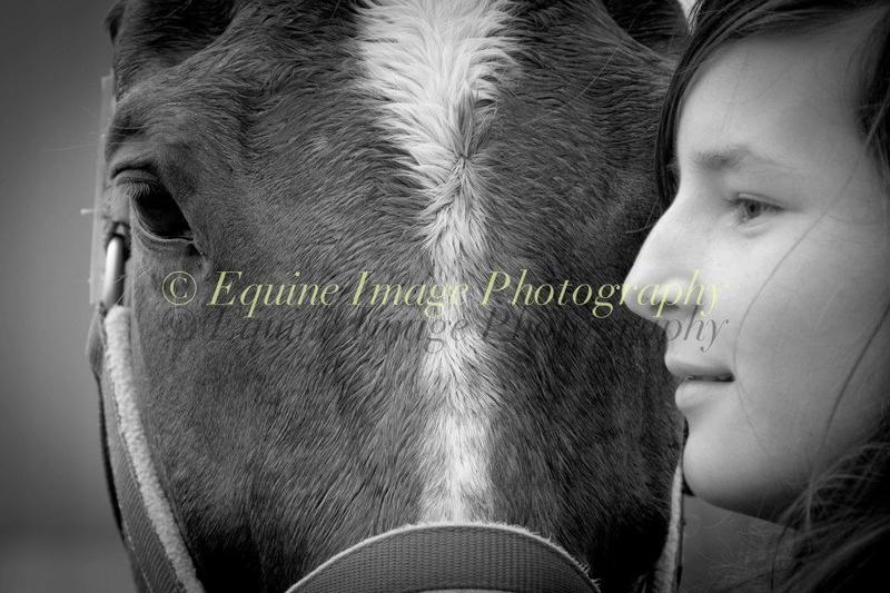 Equine Image Photography