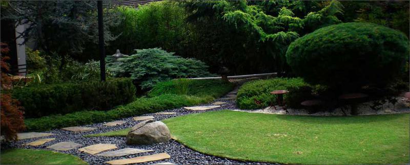 Turning Japanese
